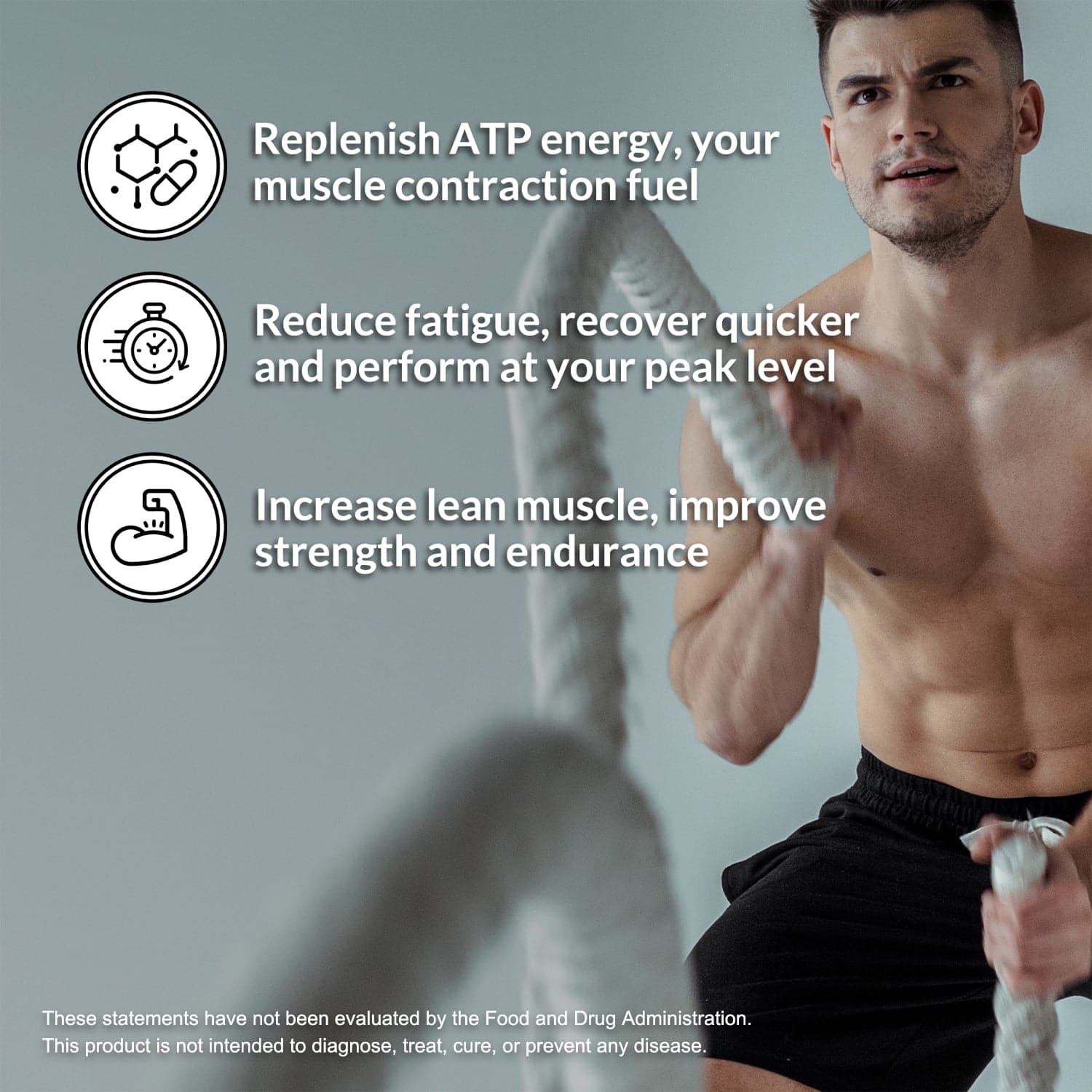 Lemon Lime Creatine Monohydrate Powder - Lemon Lime