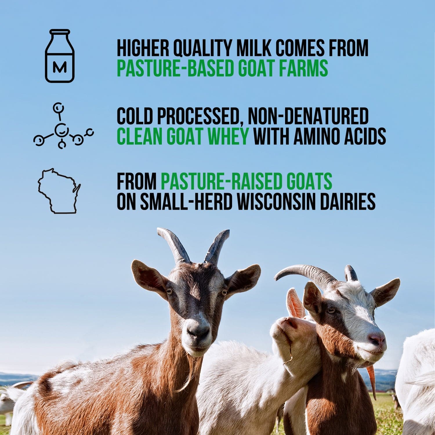 Chocolate Goat Whey Protein Powder - Chocolate