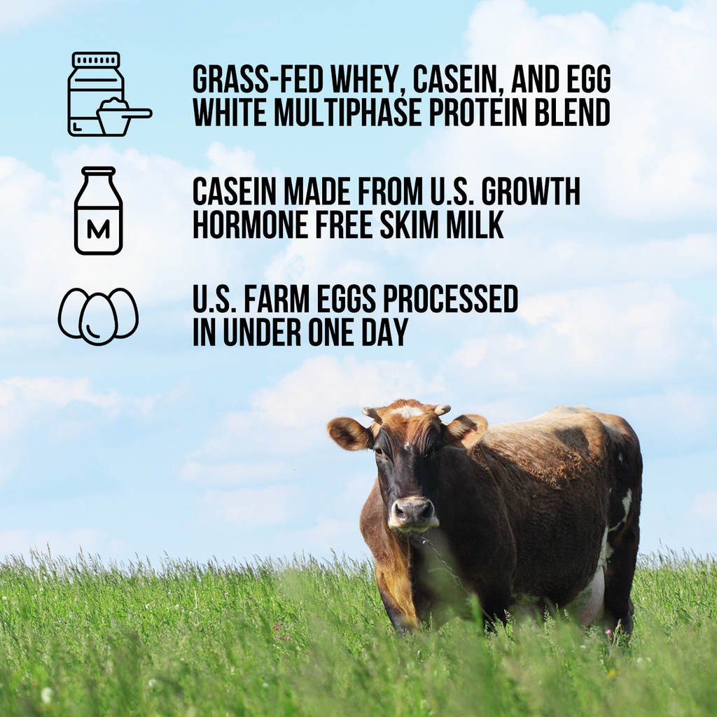 Protein Powder Blend - 3LB Egg Whey & Casein Protein Blend - 3LB