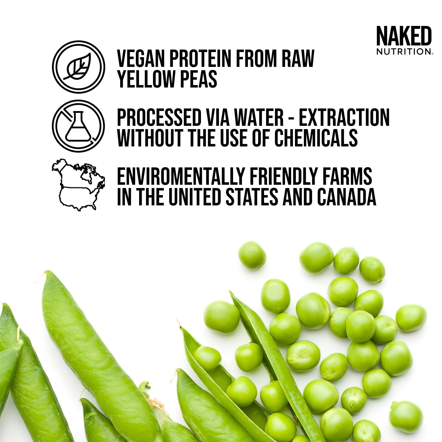 Pea Protein Powder - Unflavored