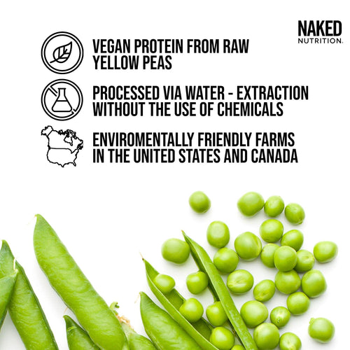 Chocolate Peanut Butter Pea Protein Powder - Chocolate PB